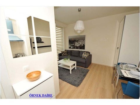 RT-DMIKS
